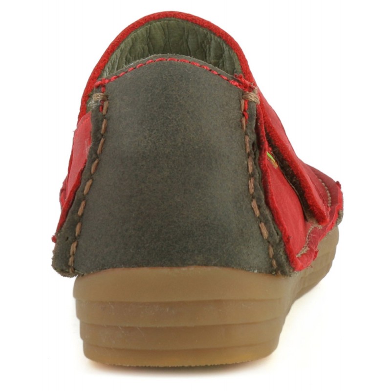 el naturalista nouvelle collection